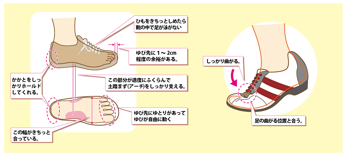 靴の正しい選び方のイラストです。